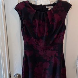 White House black market navy and burgundy dress